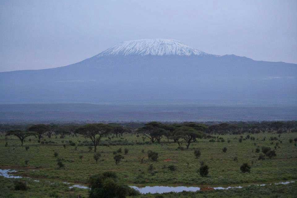 Kilimanjaro, Kilima Safari Camp 131