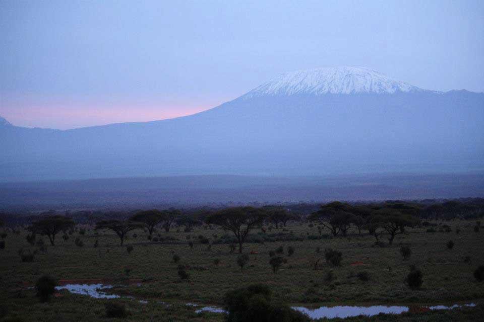 Kilimanjaro, Kilima Safari Camp 132