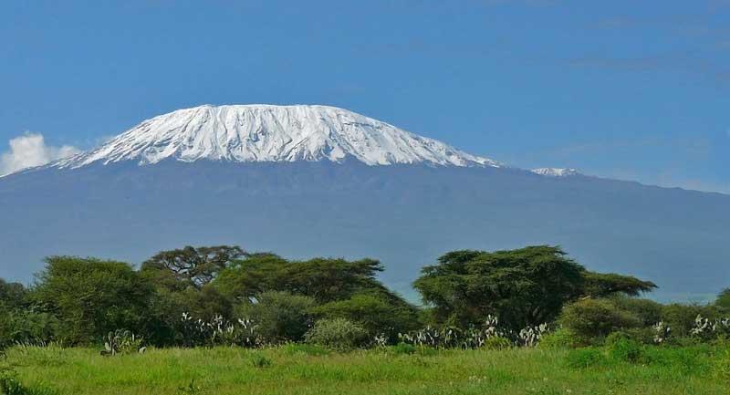 Mount Kilimanjaro 8624935