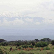 Amboseli Kilimanjaro 107.jpg
