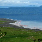 Lake Nakuru 8215729.jpg