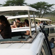 Tourists, Lake Nakuru 117.jpg