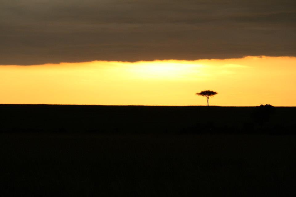 Maasai Mara sunset 122