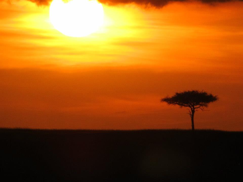 Maasai Mara sunset 123