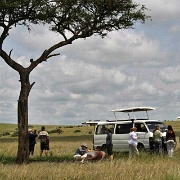 Maasai Mara National Reserve 151.jpg