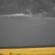 Maasai Mara storm 120.jpg