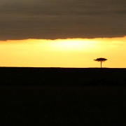 Maasai Mara sunset 122.jpg