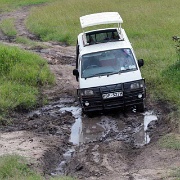 Mud for 4x4, Maasai Mara 160.jpg