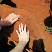 Sheldrick Elephant Orphanage 104.jpg