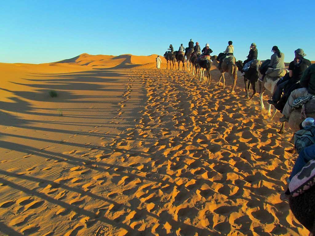 Sahara camel train, Morocco 219