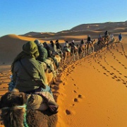 Sahara camel train, Morocco 224.jpg