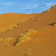 Sahara, Morocco 234.jpg