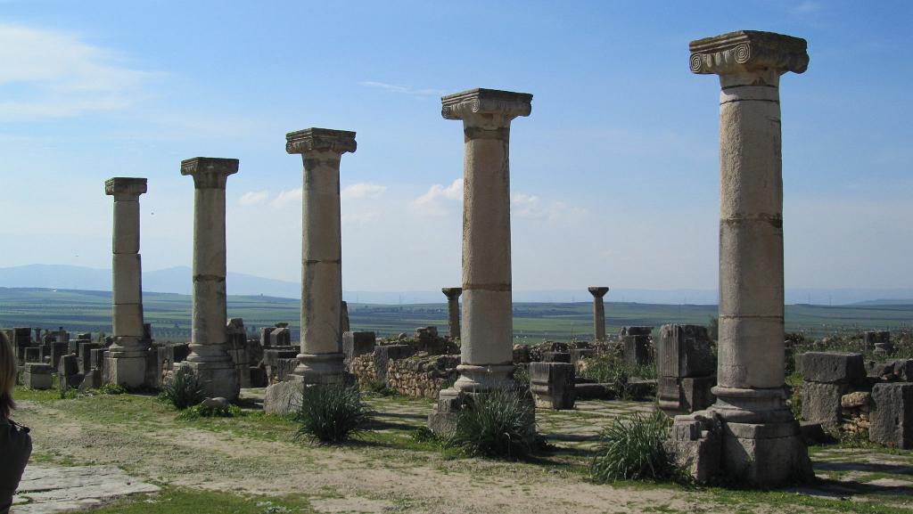 Roman ruins at Volubilis 064