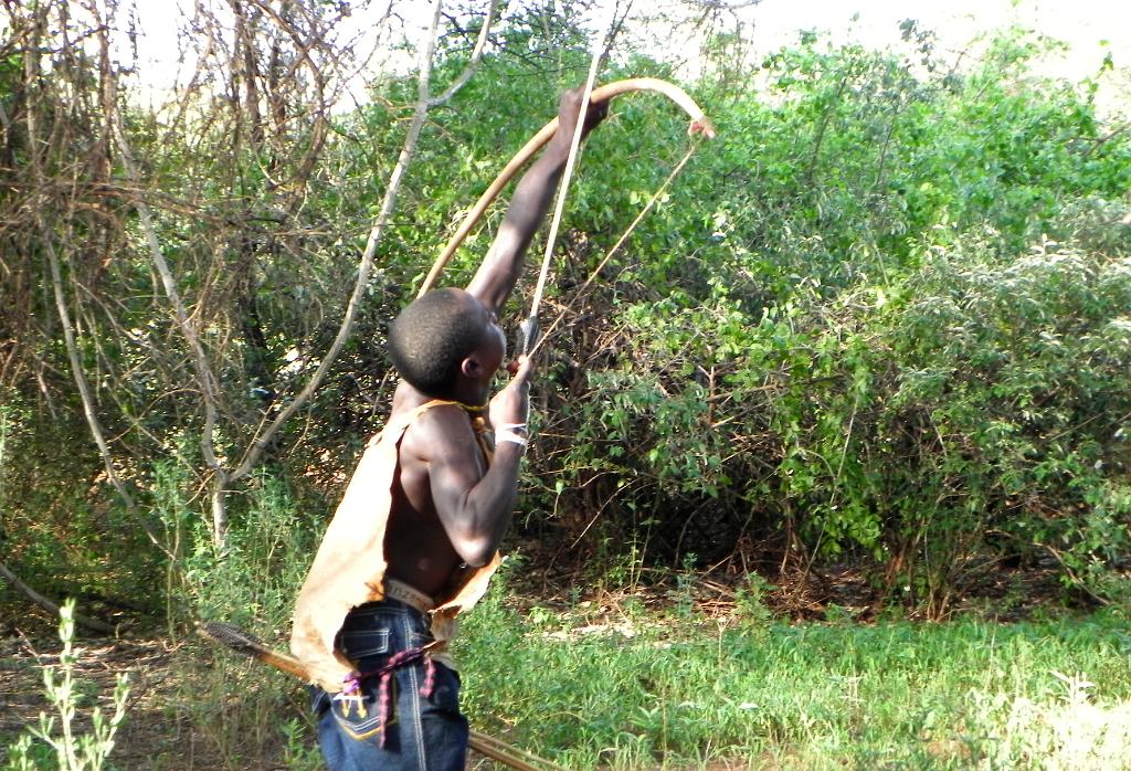 Hadzabe hunting bow and arrow 085