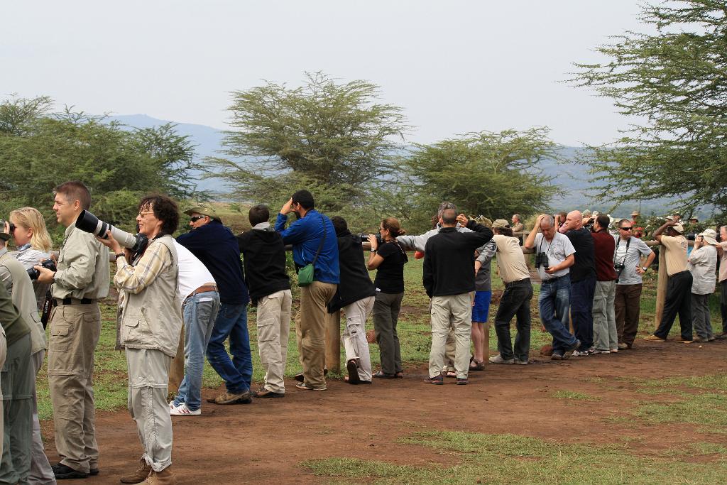 Tourists, Lake Manyara 382