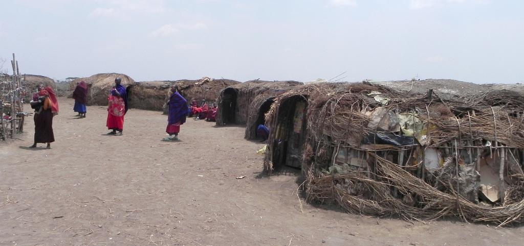 Maasai boma huts Ngorongoro 294
