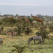 Ngorongoro Conservation Area130.JPG