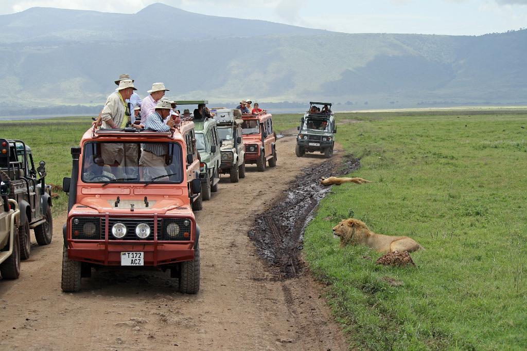 Lions Ngorongoro Crater 145