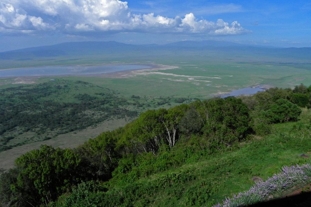 Ngorongoro Crater, Tanzania 070