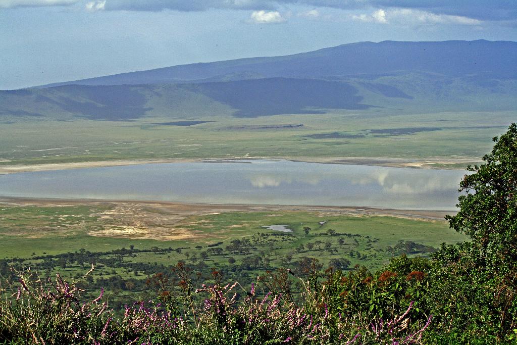 Ngorongoro Crater, Tanzania 090
