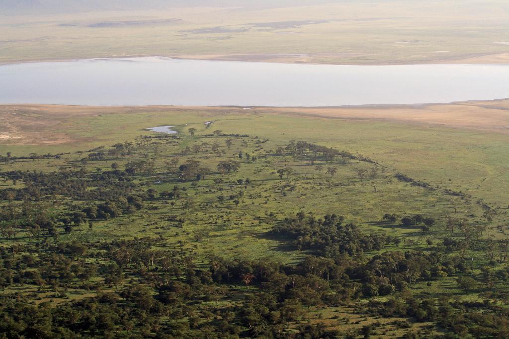 Ngorongoro Crater, Tanzania 095