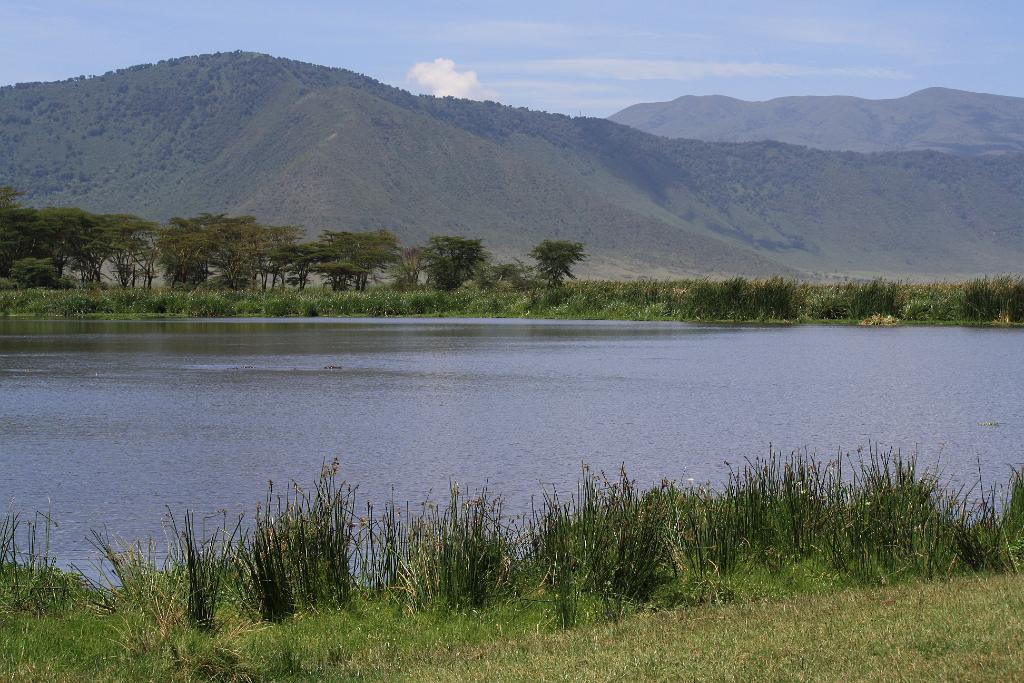 Ngorongoro Crater, Tanzania 100