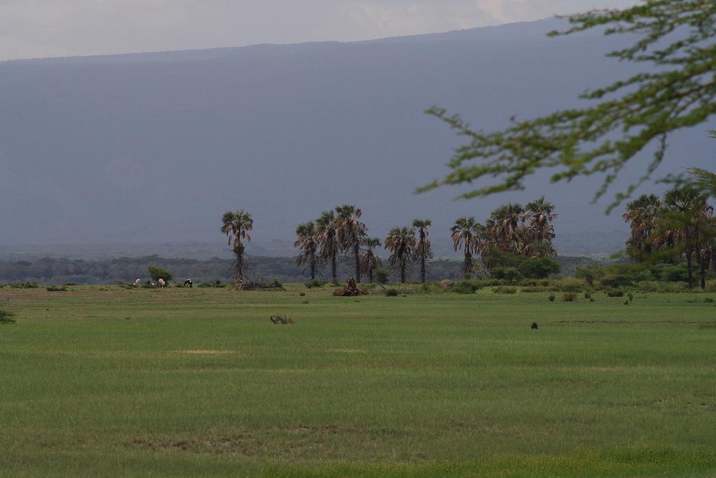 Ngorongoro Crater, Tanzania 110