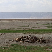 Ngorongoro Crater 115.JPG