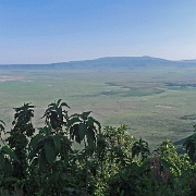 Ngorongoro Crater, Tanzania 055.JPG