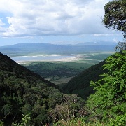 Ngorongoro Crater, Tanzania 080.JPG