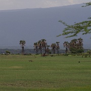 Ngorongoro Crater, Tanzania 110.JPG