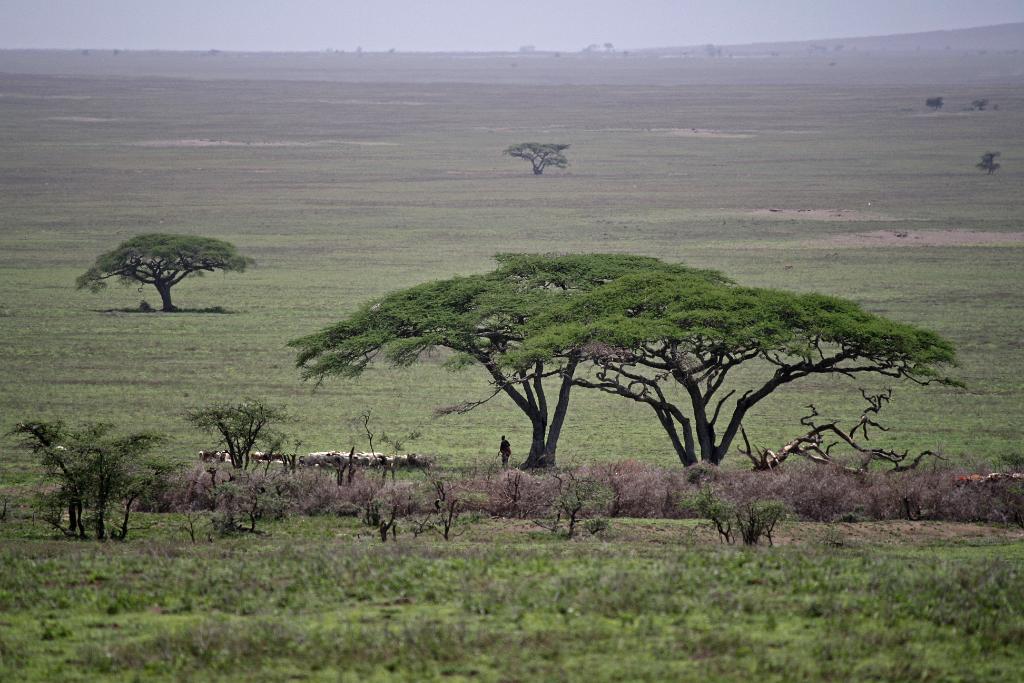 Maasai Ngorongoro Conservation Area 050