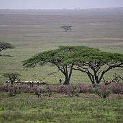 Maasai Ngorongoro Conservation Area 050.JPG