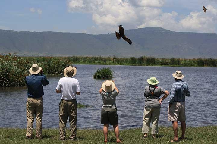 Ngorongoro355