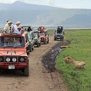 Ngorongoro145.jpg