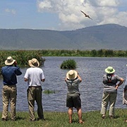 Ngorongoro350.jpg