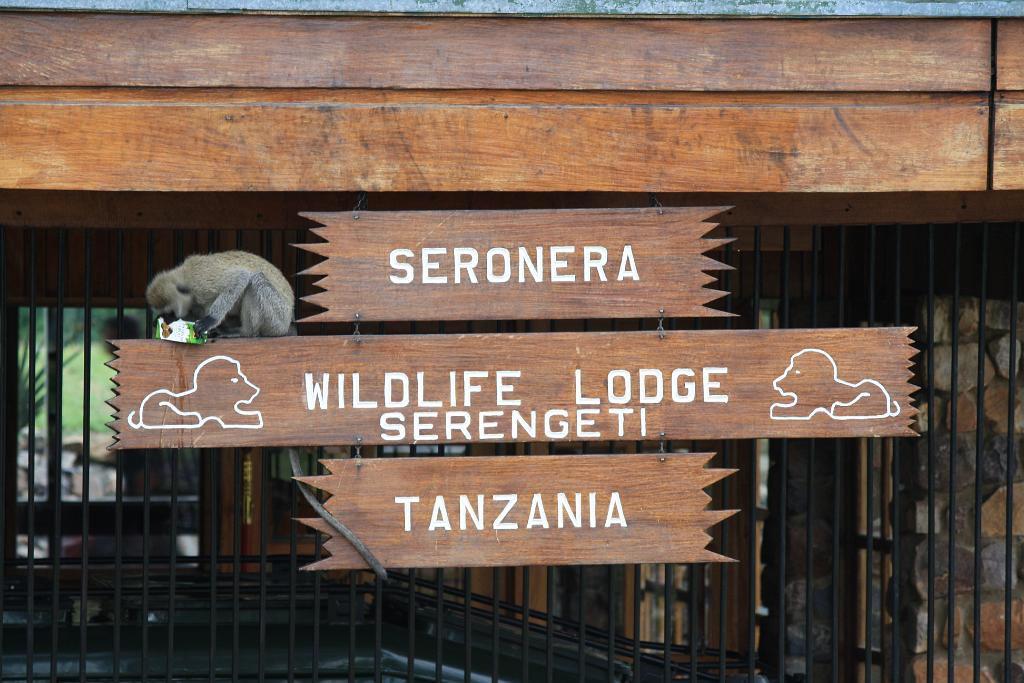 Seronera Wildlife Lodge, Serengeti 0051