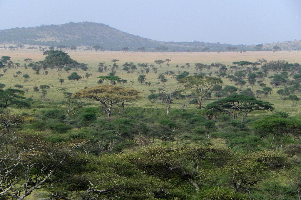 Seronera Wildlife Lodge, Serengeti 0073