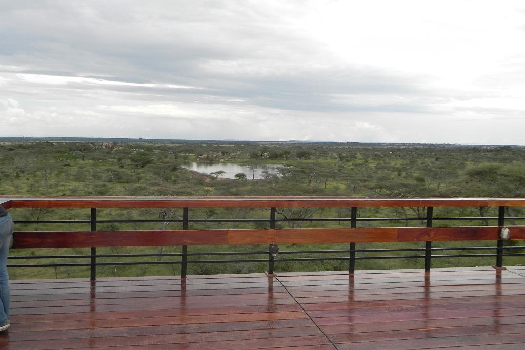 Seronera Wildlife Lodge, Serengeti 0075