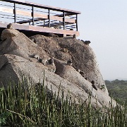 Hyrax, Seronera Wildlife Lodge, Serengeti 0071.jpg