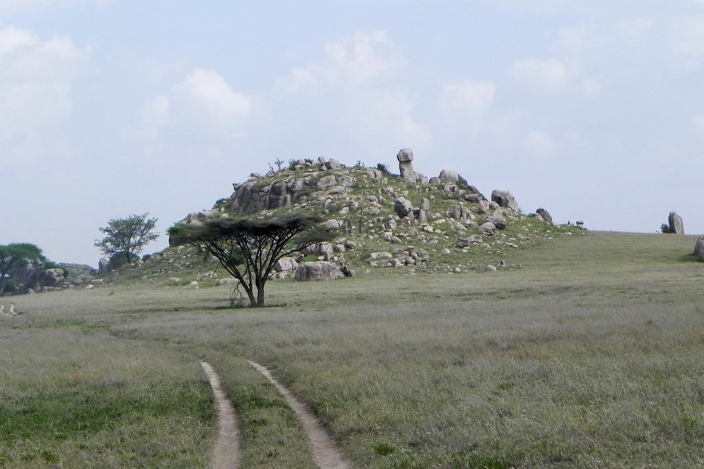 Kopje, Serengeti, Tanzania 0225