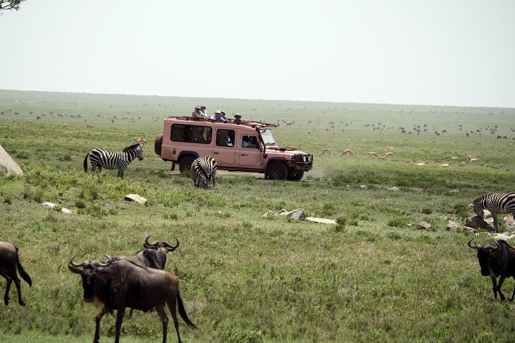 Serengeti 0289