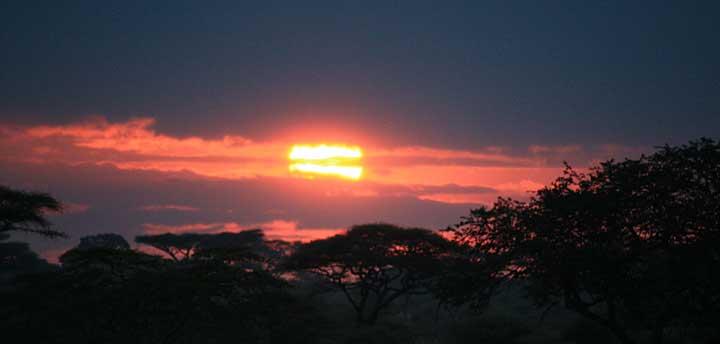 Sunrise, Serengeti, Tanzania 0101