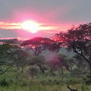 Sunrise, Serengeti, Tanzania 0099.jpg