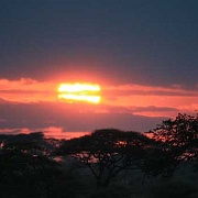Sunrise, Serengeti, Tanzania 0101.jpg