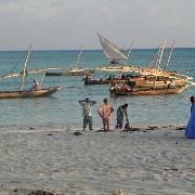 Fish auction, Nungwi 200.JPG