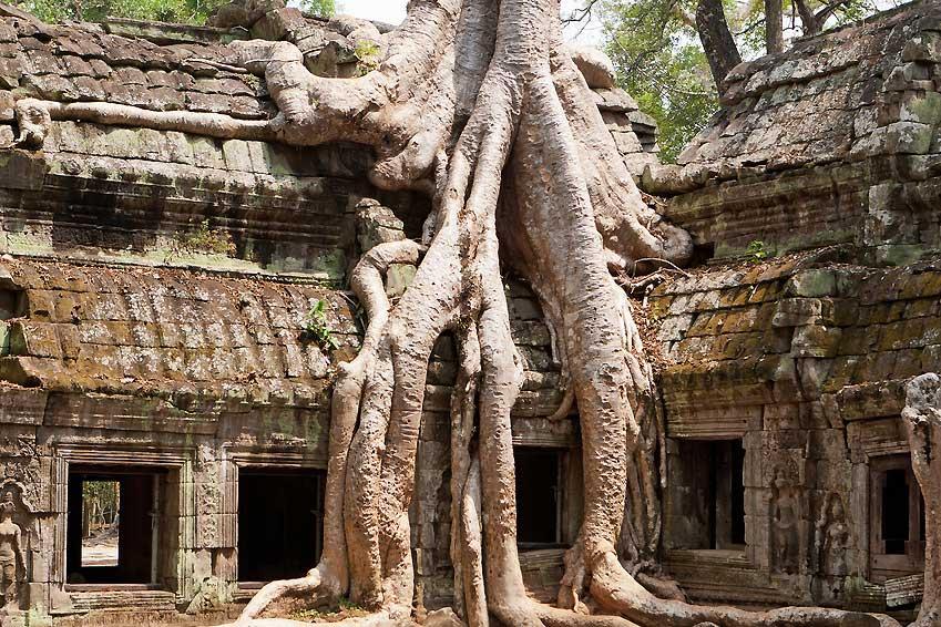 ta-phrom-temple-near-angkor-wat