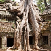 ta-phrom-temple-near-angkor-wat.jpg