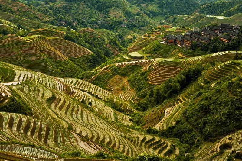 longji-rice-terraces-china