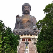 tian-tan-buddha-stairs-hong-kong.jpg